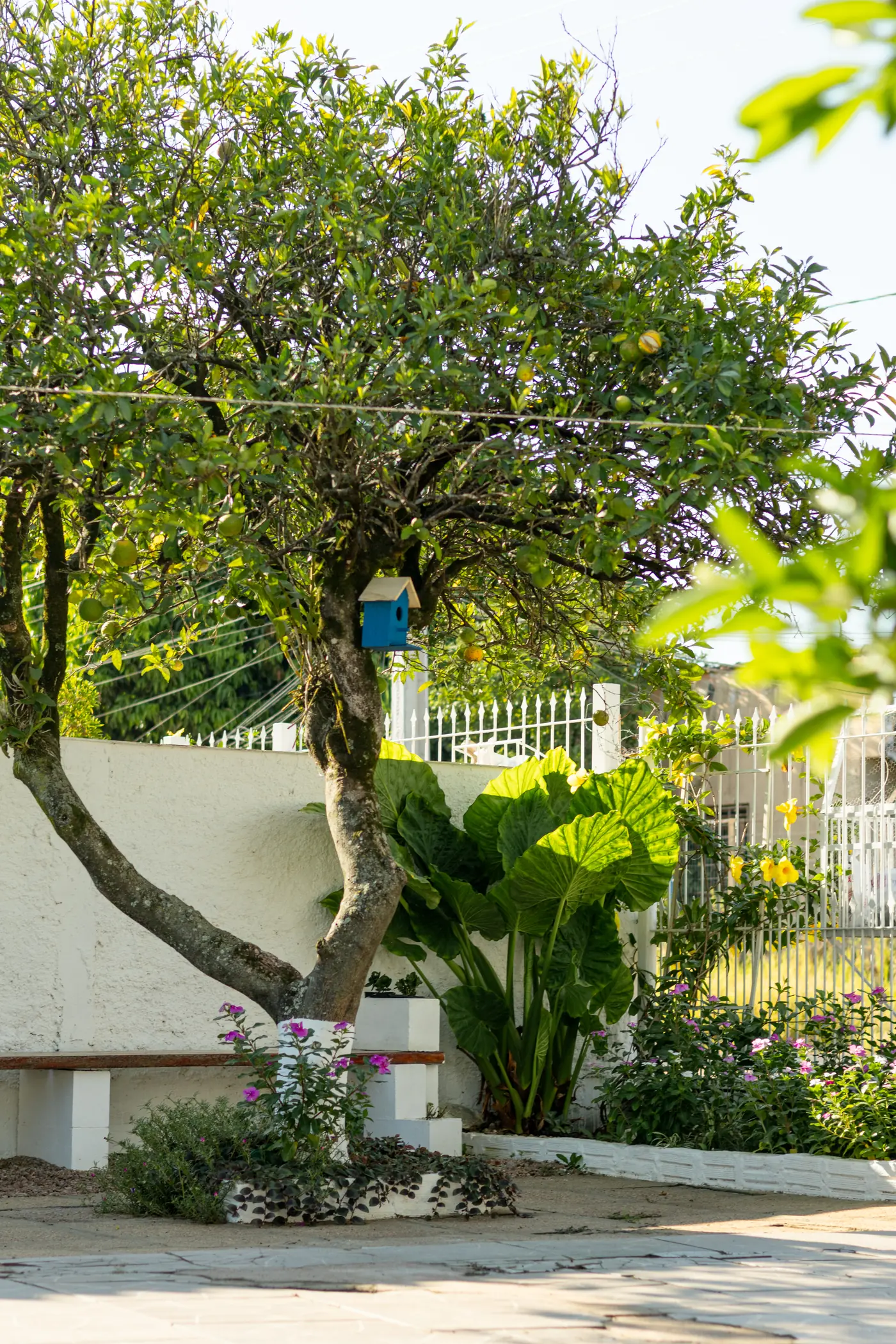 Jardim da Pousada Casa do Sol em Guaíba